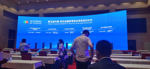 文化艺术与绿色经济交融 北京华艺灿烂国际文化集团跨界投资桐子木本油料产业